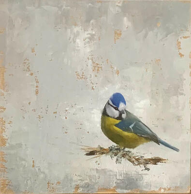 Bluetit 1